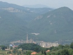 Šta se bijeli u gori zelenoj?