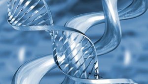 dnk_testiranje_news_pic