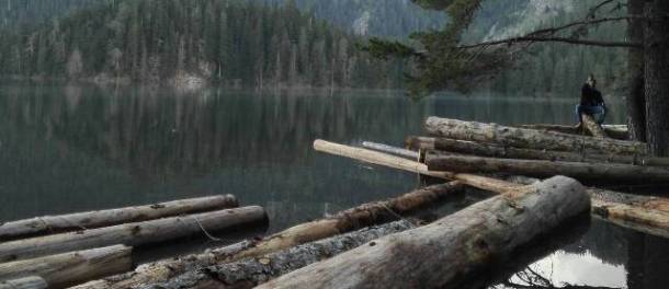 Posjecena suma u Crnom j 2018 w